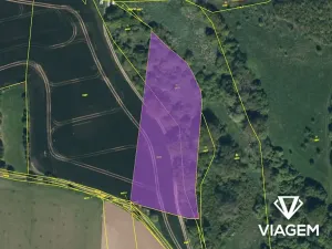 Prodej pole, Přelouč, 8402 m2