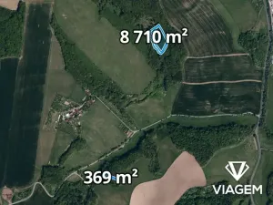 Prodej podílu lesa, Kaňovice, 4655 m2