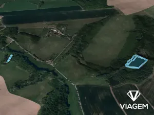 Prodej podílu lesa, Kaňovice, 4655 m2