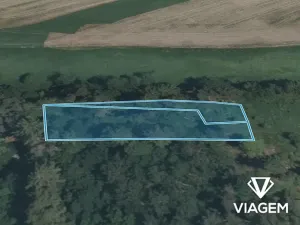 Prodej lesa, Sepekov, 1300 m2