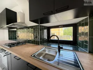 Pronájem atypického bytu, Osek, Tovární, 135 m2