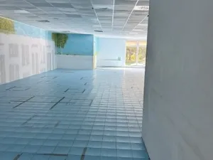 Pronájem obchodního prostoru, Opava, Jaselská, 300 m2