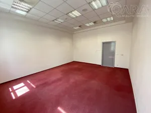 Pronájem kanceláře, Vyškov - Vyškov-Město, 111 m2