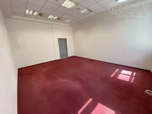 Pronájem kanceláře, Vyškov - Vyškov-Město, 111 m2