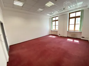 Pronájem kanceláře, Vyškov - Vyškov-Město, 111 m2