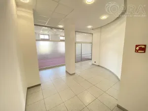 Pronájem kanceláře, Vyškov - Vyškov-Město, 111 m2