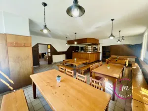 Pronájem komerční nemovitosti, Luka nad Jihlavou, nám. 9. května, 282 m2