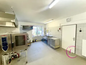 Pronájem komerční nemovitosti, Luka nad Jihlavou, nám. 9. května, 282 m2