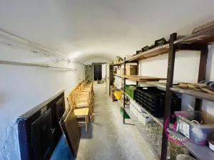 Pronájem komerční nemovitosti, Luka nad Jihlavou, nám. 9. května, 282 m2