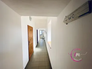 Pronájem komerční nemovitosti, Luka nad Jihlavou, nám. 9. května, 282 m2