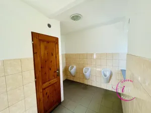 Pronájem komerční nemovitosti, Luka nad Jihlavou, nám. 9. května, 282 m2