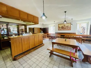 Pronájem komerční nemovitosti, Luka nad Jihlavou, nám. 9. května, 282 m2