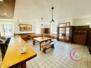 Pronájem komerční nemovitosti, Luka nad Jihlavou, nám. 9. května, 282 m2