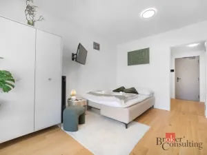 Prodej bytu 1+kk, Brno - Zábrdovice, Bratislavská, 24 m2