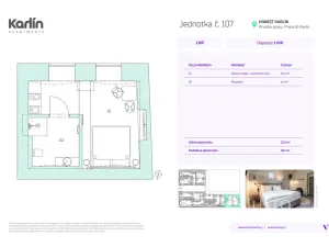 Prodej apartmánu, Praha - Karlín, Prvního pluku, 22 m2