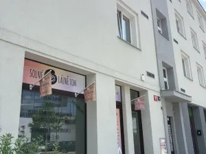 Prodej bytu 1+1, Praha - Vokovice, Kladenská, 46 m2