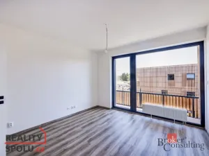 Pronájem bytu 2+kk, Plzeň - Východní Předměstí, Kartónová, 56 m2