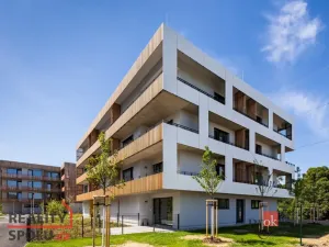 Pronájem bytu 2+kk, Plzeň - Východní Předměstí, Kartónová, 56 m2