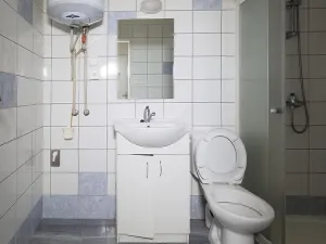 Prodej rodinného domu, Jemnice, Tyršova, 224 m2