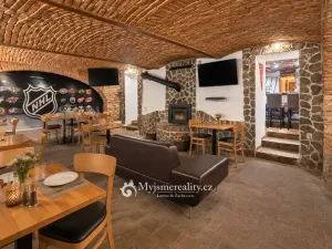 Prodej obchodního prostoru, Znojmo, Havlíčkova, 95 m2