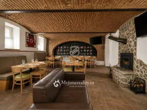 Prodej obchodního prostoru, Znojmo, Havlíčkova, 95 m2