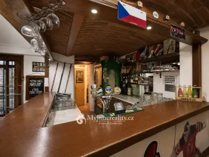 Prodej obchodního prostoru, Znojmo, Havlíčkova, 95 m2