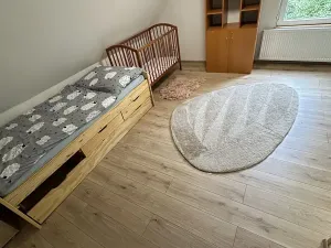 Prodej chalupy, Desná, Krkonošská, 380 m2