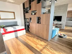 Pronájem bytu 2+kk, Brno, Křenová, 72 m2