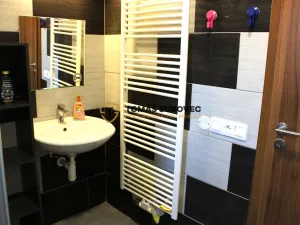 Pronájem pokoje, Hvozdná, Sokolská, 21 m2