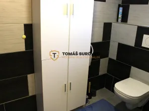 Pronájem pokoje, Hvozdná, Sokolská, 21 m2