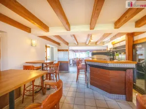 Prodej komerční nemovitosti, Boršov nad Vltavou - Poříčí, Na Výši, 297 m2