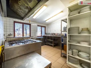 Prodej komerční nemovitosti, Boršov nad Vltavou - Poříčí, Na Výši, 297 m2