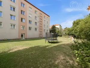 Prodej bytu 2+1, Vyškov - Vyškov-Předměstí, Hybešova, 55 m2