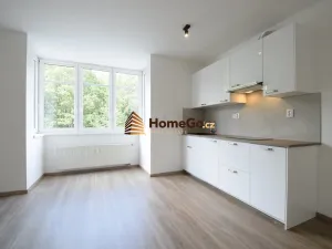 Pronájem bytu 1+kk, Praha - Záběhlice, Mikanova, 51 m2