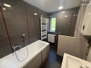 Pronájem bytu 3+1, Litvínov - Horní Litvínov, Ladova, 63 m2