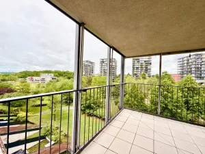 Prodej bytu 2+kk, Praha - Žižkov, Pitterova, 52 m2