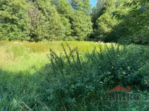 Prodej pozemku, Svatoňovice, 3120 m2