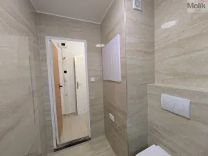 Prodej bytu 2+1, Krupka - Maršov, Karla Čapka, 61 m2