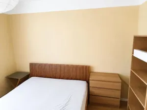 Pronájem bytu 2+kk, Plzeň - Jižní Předměstí, Čechova, 63 m2