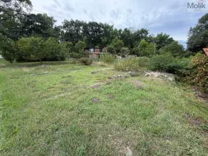 Prodej zahrady, Postoloprty, Tyršova, 357 m2