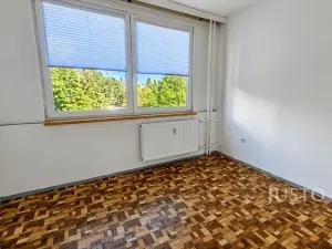 Pronájem bytu 2+kk, Písek, K Háječku, 43 m2