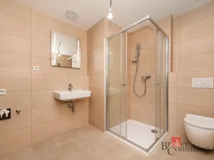 Pronájem bytu 1+kk, Plzeň - Jižní Předměstí, Železná, 38 m2