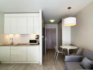 Prodej apartmánu, Dolní Morava, 27 m2