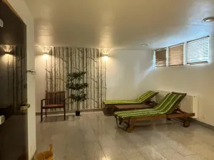 Prodej apartmánu, Dolní Morava, 27 m2
