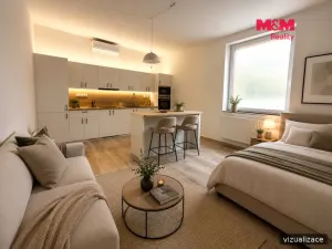 Pronájem bytu 1+kk, Ploskovice, 50 m2