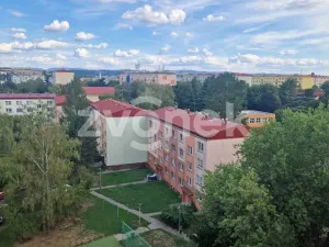 Pronájem bytu 3+1, Uherské Hradiště, Štěpnická, 62 m2