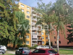Pronájem bytu 3+1, Uherské Hradiště, Štěpnická, 62 m2