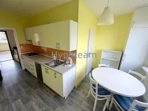 Pronájem bytu 2+1, Ústí nad Labem - Všebořice, Plynárenská, 64 m2