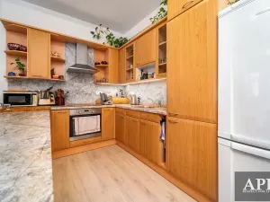 Prodej rodinného domu, Veselí nad Moravou, Zarazická, 266 m2