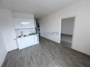 Pronájem bytu 1+1, Ústí nad Labem - Neštěmice, Sibiřská, 42 m2